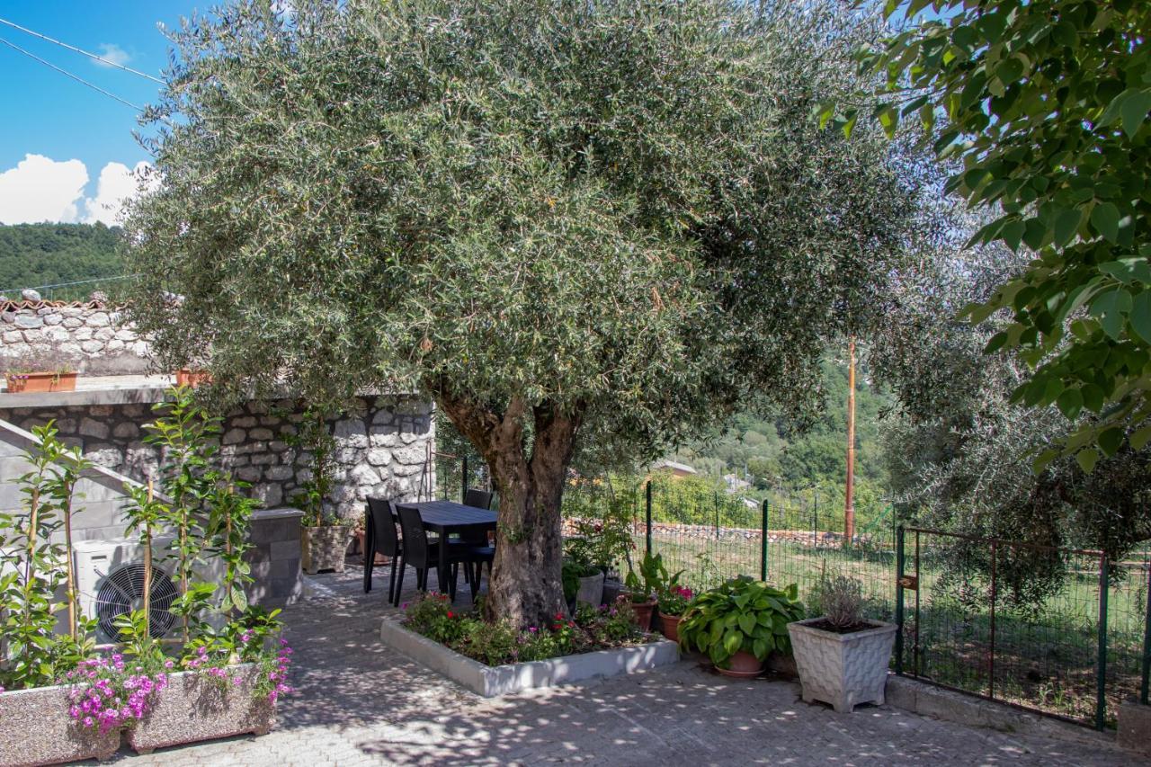 Casa Degli Ulivi Con Parcheggio Privato Apartment